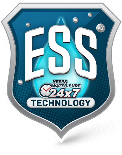 Technology description ESS Technology